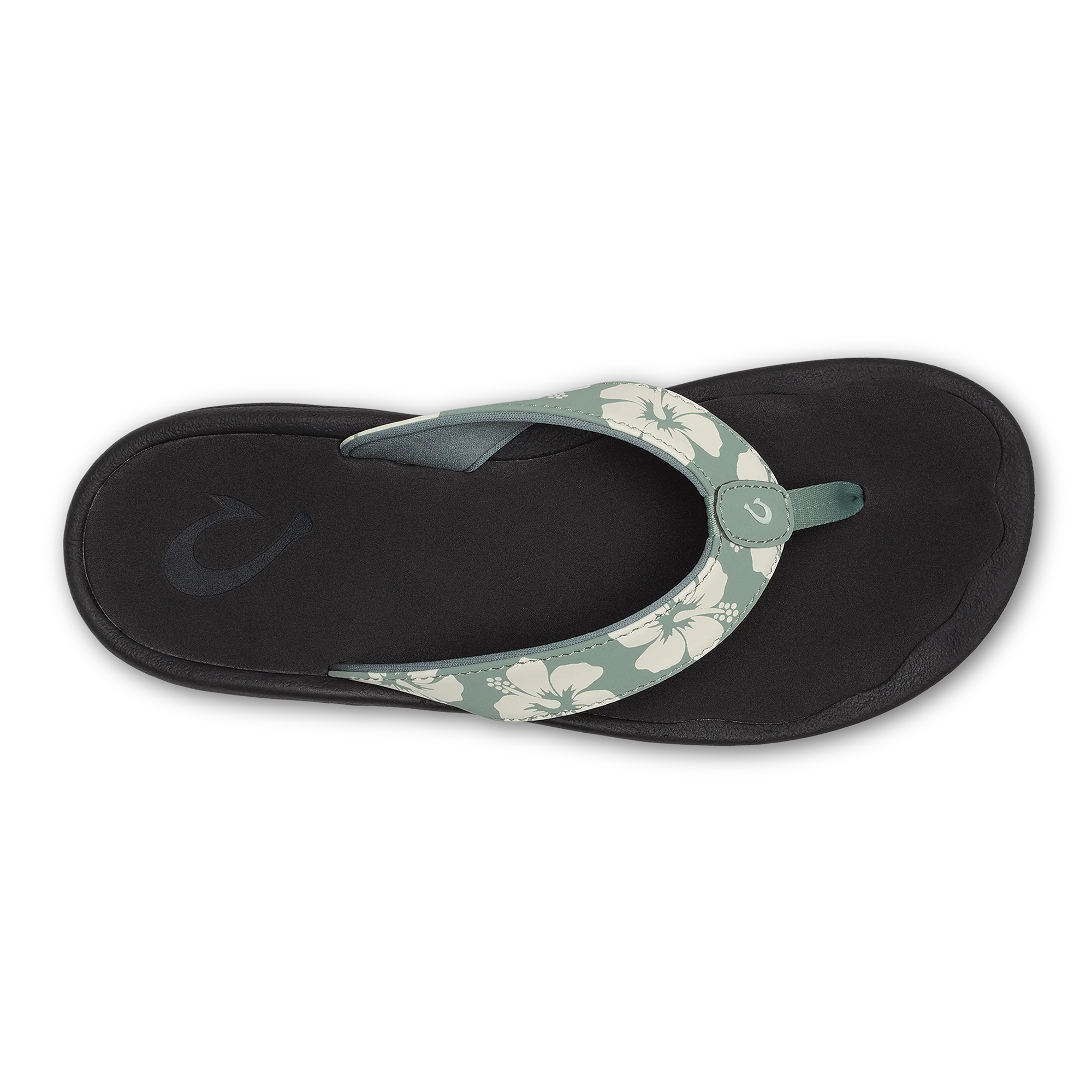 ‘Ohana  -  Silver Pine / Pua